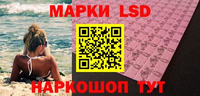 шишки Гатчина