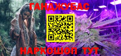шишки Гатчина