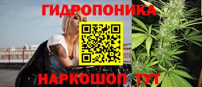 стаф Гагарин