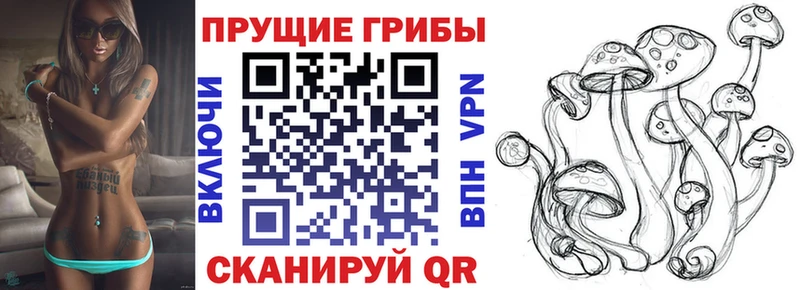 Псилоцибиновые грибы Magic Shrooms  наркота  даркнет телеграм  Коломна 