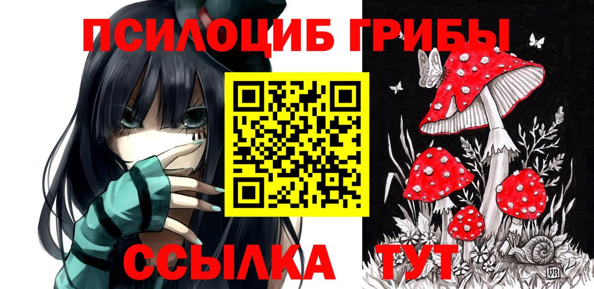 Псилоцибиновые грибы мицелий Коломна