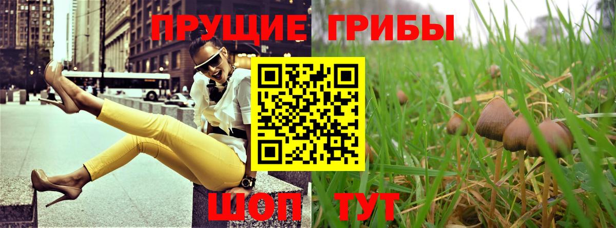 Псилоцибиновые грибы прущие грибы Коломна