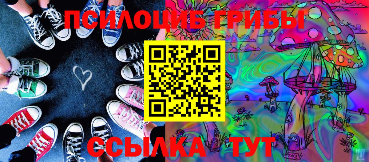 Псилоцибиновые грибы Psilocybine cubensis  Вход с VPN  Коломна 